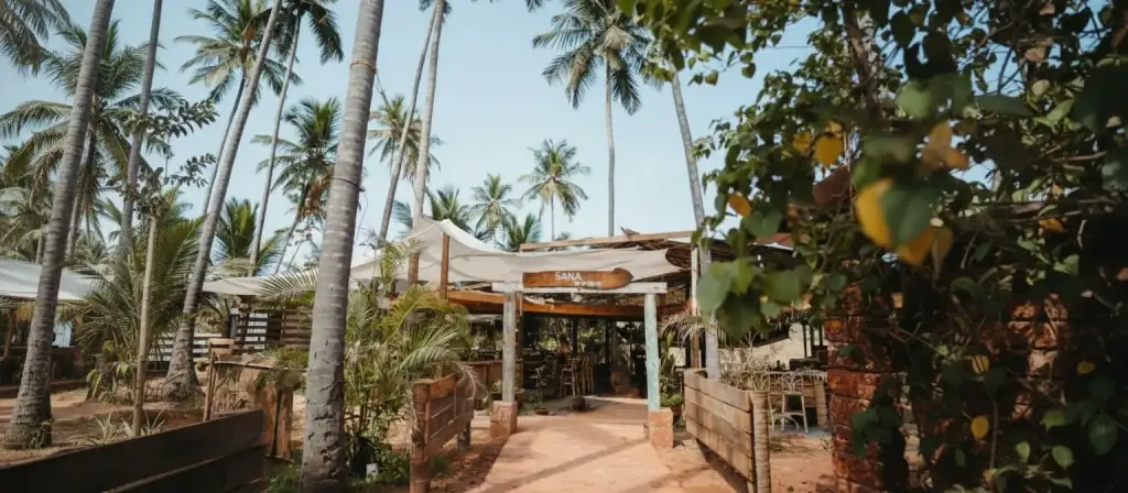 Artjuna cabanas goa, hostel in anjuna, anjuna goa stay